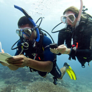 SPARKy-DIVERS-Advanced-open-water-diver-course-price-Hurghada-scuba-diving-course-Advanced-open-water-diver-Hurghada-red-sea-diving-center