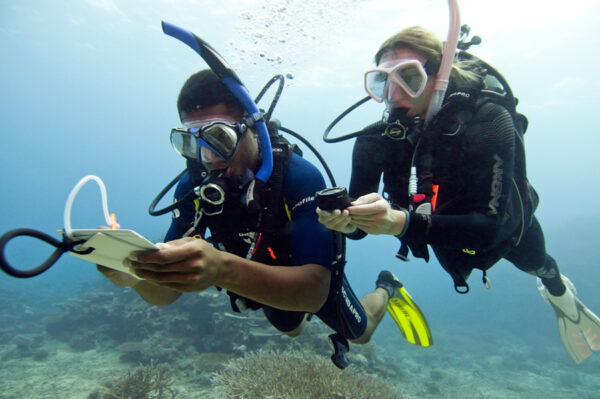 SPARKy-DIVERS-Advanced-open-water-diver-course-price-Hurghada-scuba-diving-course-Advanced-open-water-diver-Hurghada-red-sea-diving-center