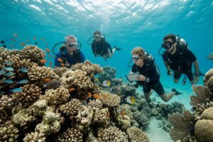 PADI Open Water Diver Course in Hurghada