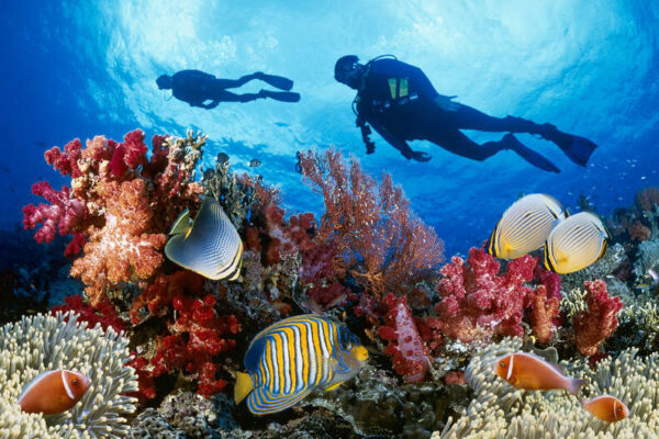 sparkydivers-discovery-scuba-diving-course-padi-hurghada