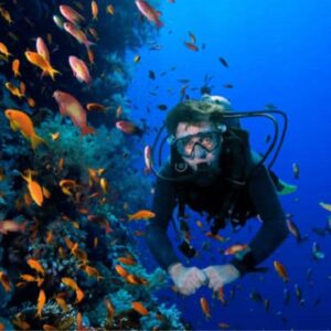 sparkydivers-PADI-DIVEMASTER-COURSE-DIVEMASTER-Hurghada-diving-instructors-dive-sites-Hurghada-Course-dive-master-red-sea-diving-Egypt