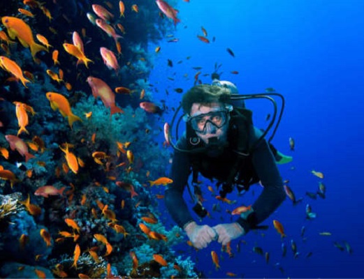 sparky-divers-scuba-diving-Hurghada